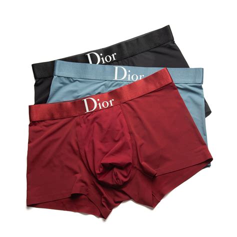 christian dior boxer shorts|dior ready to wear pants.